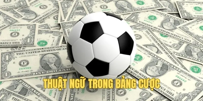 Chi tiết thuật ngữ kèo cược dành cho người mới