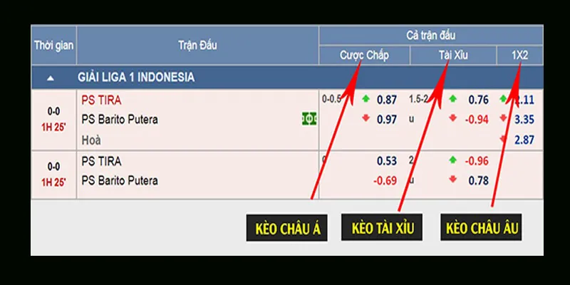 Giới thiệu về xem tỷ lệ cá cược bóng đá trực tuyến
